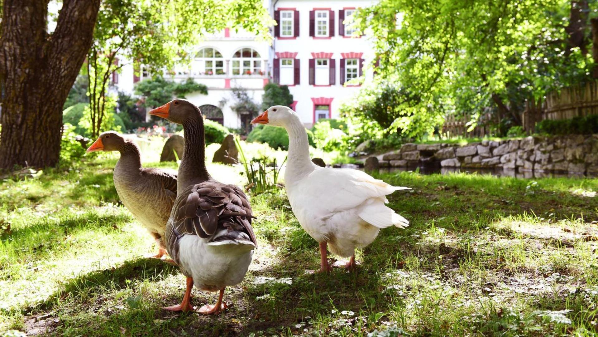 Pensjonat Castel Campan Bressanone Zewnętrze zdjęcie